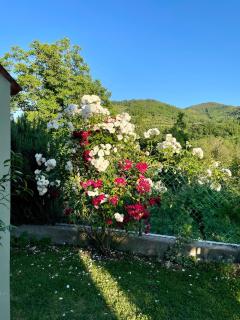 Villa Romeo - the suitable one! - Fognano - 7