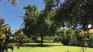 Sítio tranquilo perto da Praia de Guarajuba POND - Camacari - 0