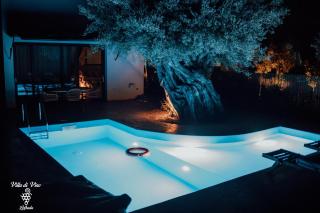 Villa di Vino - Città di Lefkada - 5