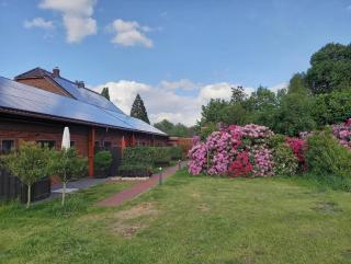 Apartment 3 - Bad Zwischenahn - 9