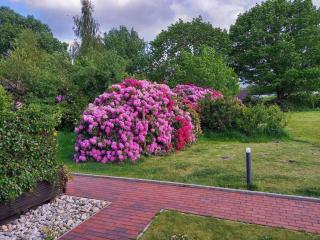 Hempen Fied Gästehaus - Apartment 2 - 3