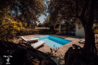 Villa di Vino - Città di Lefkada - 7