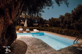 Villa di Vino - Città di Lefkada - 8