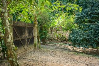 Saíra Recanto de Serra - Mulungu - 1