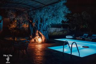 Villa di Vino - Città di Lefkada - 9