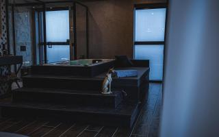 2401 at Mercury by AURA - 2