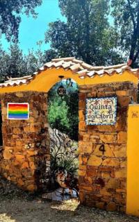 Quinta do Cabril - Serpins - 8
