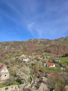 Vilat Suka Mkushit - Shkodër - 3