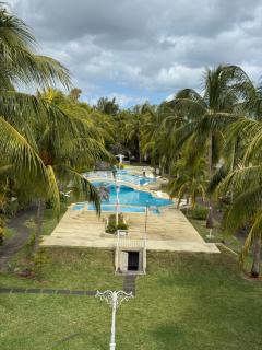 Le Latanier - Flic en Flac - 0