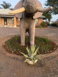 Tlou- Sejie Hotel - Palapye - 2