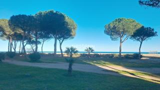 3794- Appartement à 50m de la mer - 2