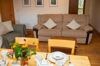 Owls Roost Eco Lodge Apartment Lampeter - Lampeter - 5