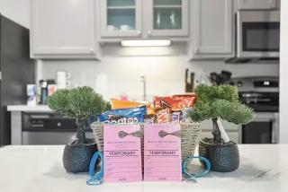 Cozy Modern 2Bed Apt - Houston - 9