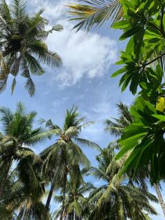 Villa 5 mins to the Beach at Bondalem Tejakula with 2 Bed Room - Julah - 7