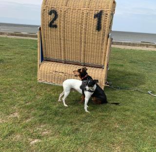 Nordsee direkt - Dorum Neufeld - 9