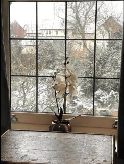 Spring Cottage - Penistone - 1
