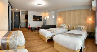 Penthouse - Osaka - 9
