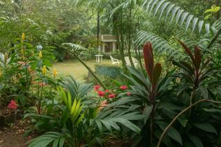 Lotus Mountain Retreat - Kandy - 6
