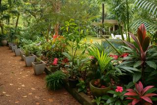 Lotus Mountain Retreat - Kandy - 7