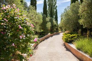 Domaine de la Myrtille - Pertuis - 0