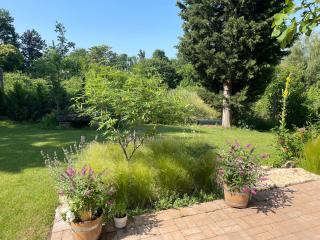 Two Pines Summer House in Tihany, Sajkod - Tihany - 8