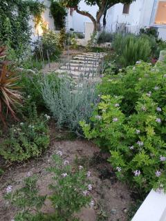 Aroura Homes Spetses 3BR 2BA - Spetses - 2