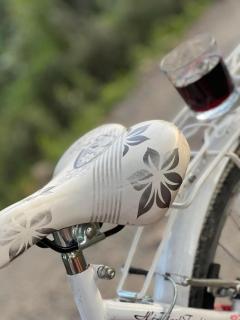 Lucca River House with 4 bikes included - 7