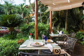 Occidental Cozumel - All Inclusive - 9