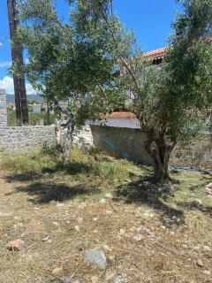 Athina's House Elaia - Elia Laconias - 3