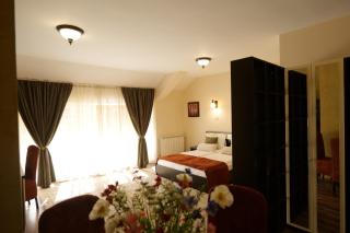 Vila Gardenia - Oradea - 0