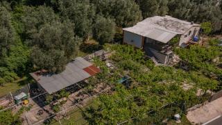 Apartmani Mijailovic PARKING WI-FI AIR CONDITION FREE - Buljarica - 1