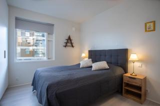 Reykjavík 2BR Apartment with Free Parking - Reykjavik - 5