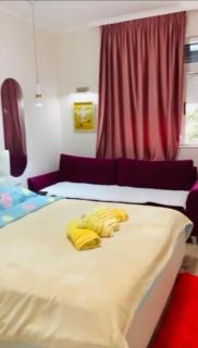 Center Apartments - Tirana - 2