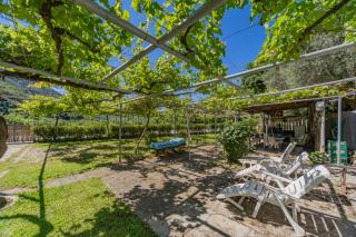 Mijailovic apartmani PARKING WI FI AIR CONDITION FREE - Kaluđerac - 1