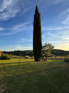 Sismano Country Rooms - Sismano - 7