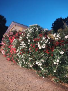 Hotel Rural Xerete - Navaconcejo - 9