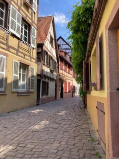 Bienvenue à Ecureuil dans le Centre Historique de Colmar - Colmar - 2