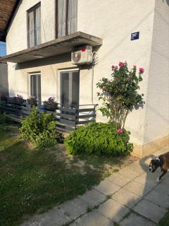 Casa de Pandora - Hrvatski Leskovac - 2