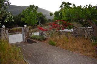 Under the pine tree - Divarata - 3