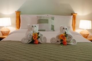 TREE TREK BOQUETE Adventure Park - 3