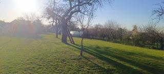 Indys-Place - - 3
