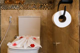 RIZK LUXURY hOTEL - Le Caire - 6