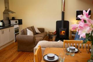 Robins Perch Eco Lodge Apartment Lampeter - Lampeter - 9