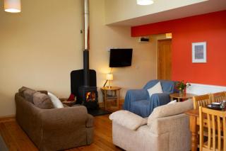 Robins Perch Eco Lodge Apartment Lampeter - Lampeter - 8