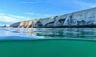 1-Bed Seaside Retreat - Sleeps 2 Parking & Garden - Peacehaven - 5