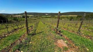 Le Gîte Grenache - 8