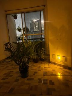 mows - São Paulo - 7