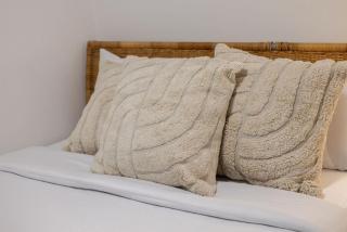 Charming 2BR in Plateau Mont-Royal - 2