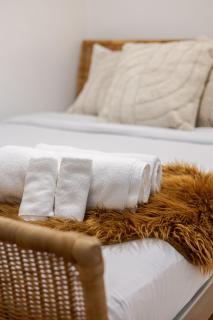 Charming 2BR in Plateau Mont-Royal - 1