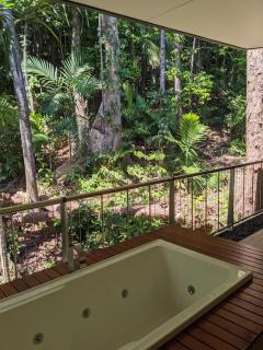 Planchonella Rainforest Pavilion - Edge Hill - 2